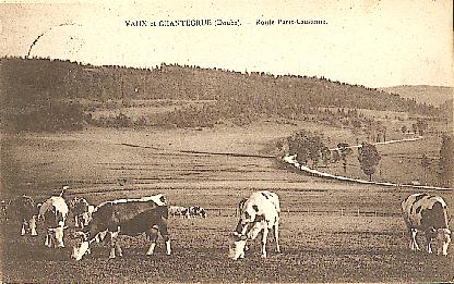 Vaux g�n� 12.JPG